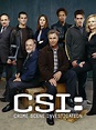 CSI: Crime Scene Investigation - Rotten Tomatoes
