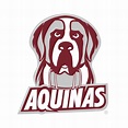 Aquinas College Saints Primary Logo Youth Short Sleeve T Shirt - White ...