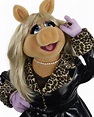 The Muppets - Movie Character Photos ~ Movie Photos | Images ...