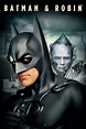 Batman & Robin Picture - Image Abyss