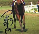 Yukio Okabe Horse and Walking Days (with signature) | Video software ...