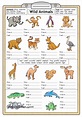 Animal Worksheet For Kids