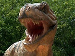 Animal Tyrannosaurus Rex Wallpaper