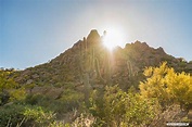 Pinnacle Peak Park: An Easy Hike and Pretty Views in Scottsdale, Arizona