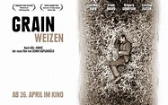 GRAIN – WEIZEN | Ein Film von Semih Kaplanoğlu | Offizielle Website