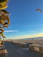 Guide To Pacific Beach Beaches In San Diego - La Jolla Mom