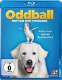 Oddball: Retter der Pinguine Blu-ray [Blu-ray Filme] • World of Games