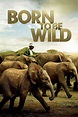 Born to Be Wild TV Listings and Schedule | TV Guide