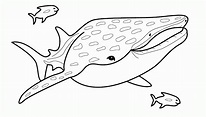 Tiburón ballena para colorear - Imagui