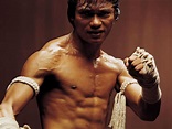 Tony Jaa wallpapers, Celebrity, HQ Tony Jaa pictures | 4K Wallpapers 2019