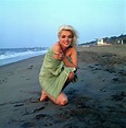 Marilyn Monroe, Santa Monica Beach (1962) : r/OldSchoolCool