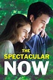 The Spectacular Now (2013) - Posters — The Movie Database (TMDB)