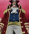 Gol D. Roger | One Piece Wiki | Fandom