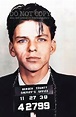 Frank Sinatra Mugshot Photograph 11 X 17 Stunning 1938 Mug - Etsy