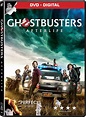 Ghostbusters: Afterlife [DVD] : Carrie Coon, Paul Rudd, Finn Wolfhard ...