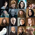Harry Potter Characters Diagram | Quizlet