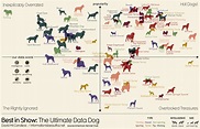 Dog breeds sorted by popularity and their perks (Intelligence, appetite ...