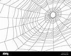 Tela de Araña o telaraña Fotografía de stock - Alamy