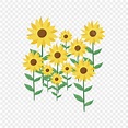手繪太陽花, 花, 太陽, 背景向量圖案素材免費下載，PNG，EPS和AI素材下載 - Pngtree