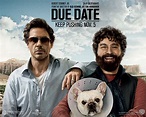 Due Date! - Due Date Wallpaper (25392027) - Fanpop