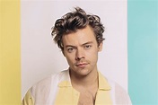 Harry Styles debut en el 2021 con su nuevo video musical - Salta 4400