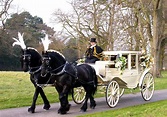 Horse And Carriage Wedding, Horse Carriage Rides, Carriage Driving ...