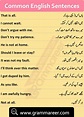 Common Phrases In Urdu