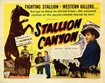 Movie: "Stallion Canyon"
