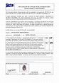 Formato Declaracion DE Conflictos DE Intereses Telmex - DECLARACIÓN DE ...