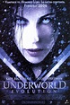 Caratulas y etiquetas: Underworld 2 Evolution
