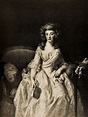 Portrait of the Countess Bose by clarkvr, via Flickr Countess, Bose ...