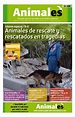 Tercera Edición Periodico Animal-es