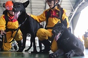 台灣7隻搜救犬獲聯合國認證 有助外交情勢 - 新聞 - Rti 中央廣播電臺
