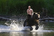 Vladímir Putin y la historia detrás de su foto 'montando un oso' que ...