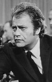 Vic Morrow – Wikipédia, a enciclopédia livre