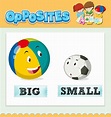 Opposite words for big and small 6436368 Vector Art at Vecteezy