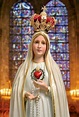 Santíssima Virgem Maria: 'Nós precisamos dela' - Portal Divina Misericórdia