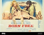 BORN FREE -1966 POSTER Stock Photo - Alamy
