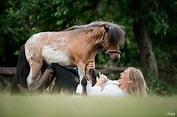 Portraitfotografie Pferd und Mensch by Ponyliebe. Pferdefotografie ...
