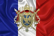 Flags NAPOLEONIC EMPIRE OF FRANC NAPOLEON FIRST FRENCH EMPIRE FLAG 18 ...