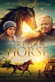 Orphan Horse | Aksa Cinema
