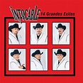 Intocable: 14 Grandes Éxitos” álbum de Intocable en Apple Music