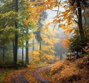 ***Autumn (Thuringian Forest, Germany) by Heiko Gerlicher ...