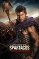Spartacus: La guerra de los condenados (Serie de TV) (2013) - FilmAffinity