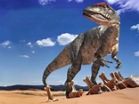 Ciencias Para El Mundo Comteporáneo: Dinosaurios Ficha 1.