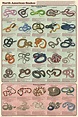 Snake Guide Size Chart