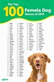 555 female dog names for gorgeous girl puppies – Artofit
