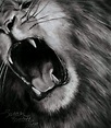 Realistic drawings, Lion drawing, Lion art