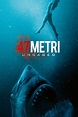 47 Meters Down: Uncaged (2019) - Posters — The Movie Database (TMDB)