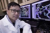 Jun Tan probes the power of flavonoids in fighting Alzheimer’s disease ...